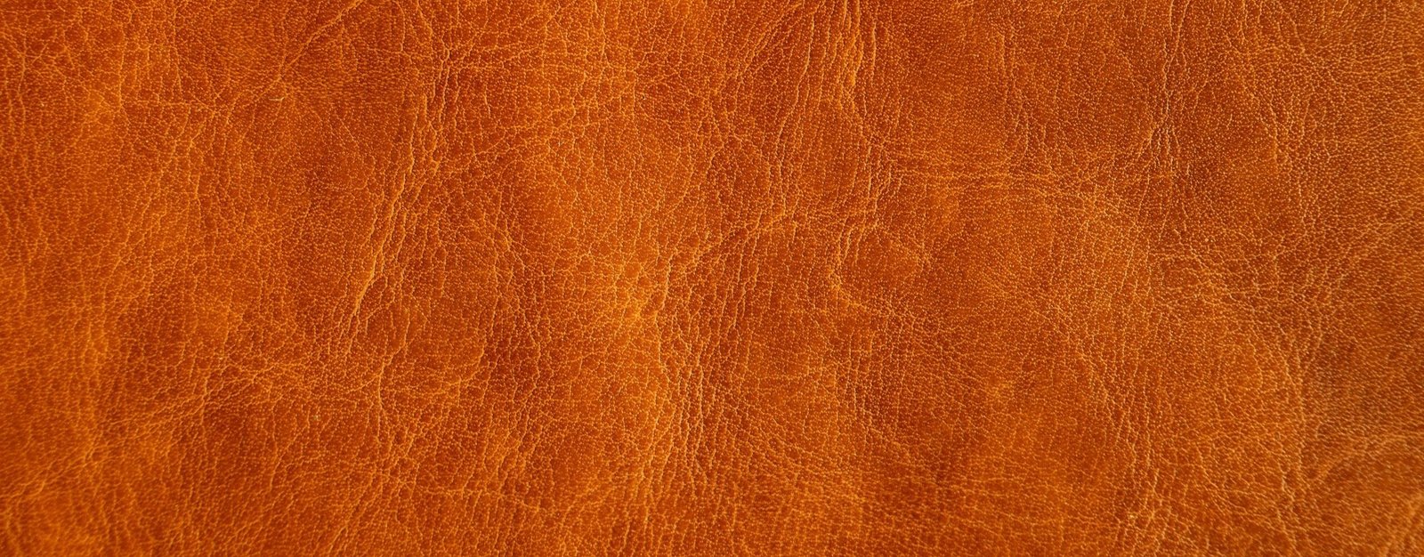 jayanth-muppaneni-m5o4dOHAibM-unsplash Ourika Pro wallet